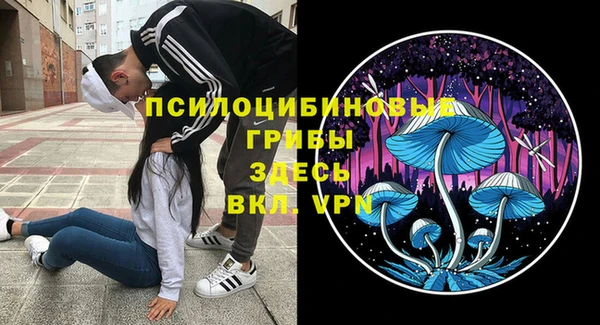 герыч Алзамай