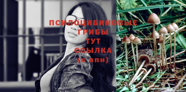 молекула духа Алексеевка