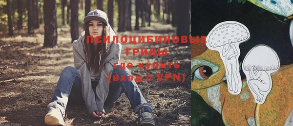 молекула духа Алексеевка