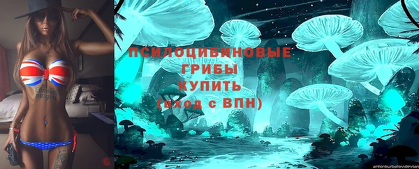 молекула духа Алексеевка
