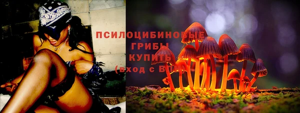 молекула духа Алексеевка