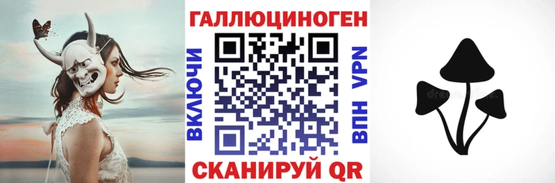 наркотики  Олонец  Галлюциногенные грибы мицелий 